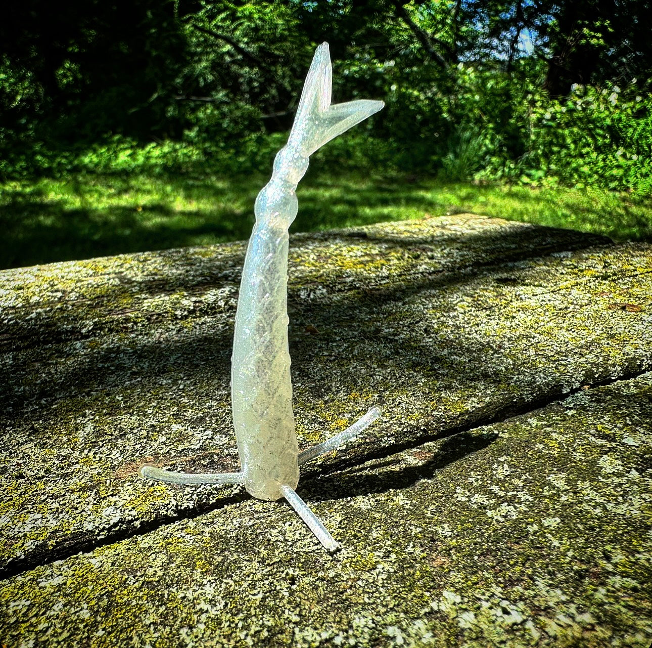 The Sharpshooter - Fish Or Die
