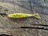 The Dagger - Fish Or Die