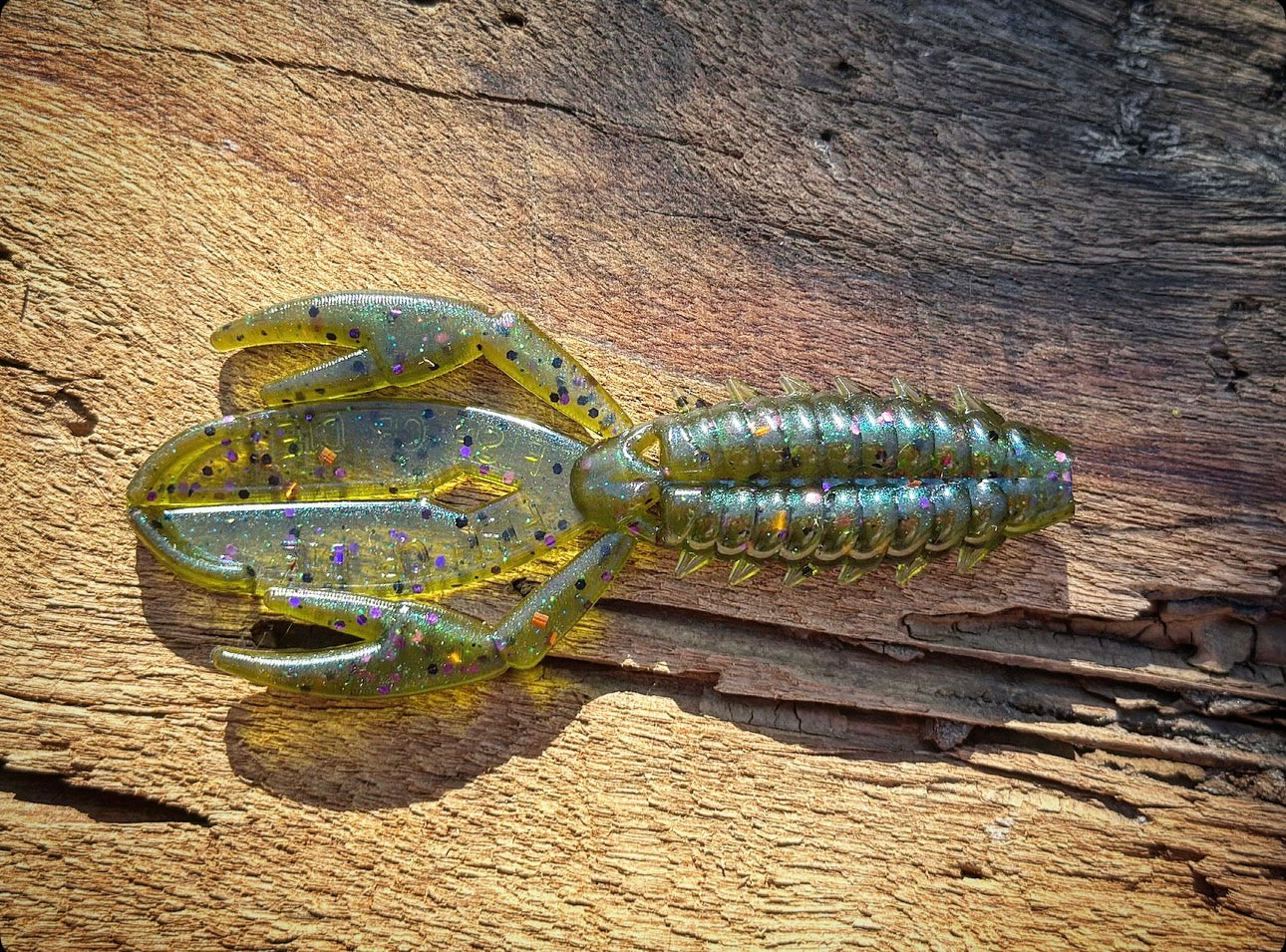The Sherman - Fish Or Die
