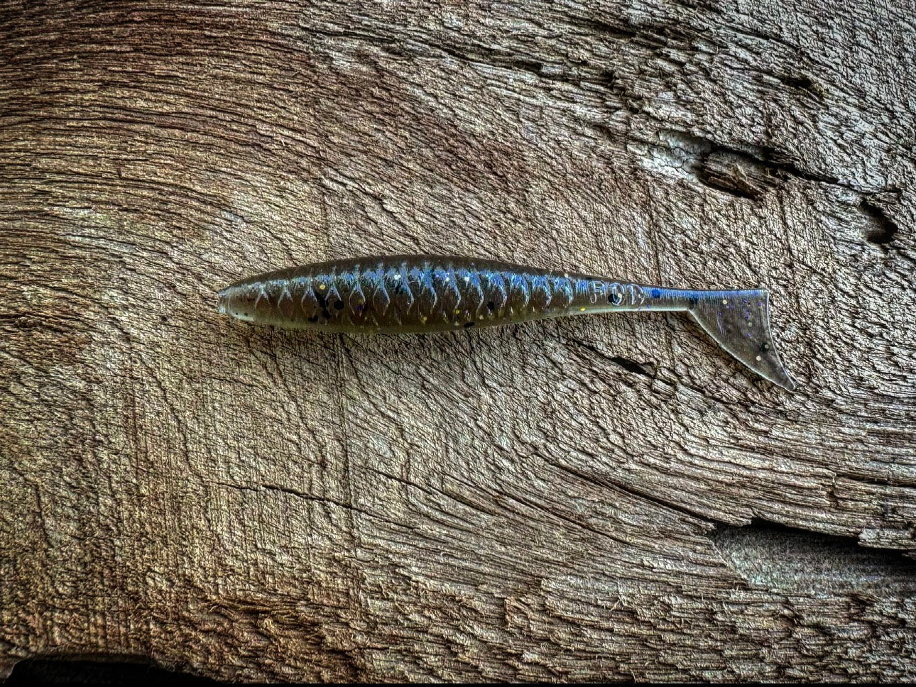 The Dagger - Fish Or Die