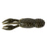 GreatLakes Juvy Craw