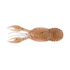 GreatLakes Juvy Craw