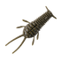 GreatLakes Ned Bug