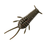 GreatLakes Ned Bug