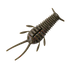 GreatLakes Ned Bug
