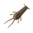 GreatLakes Ned Bug