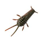 GreatLakes Ned Bug