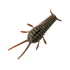 GreatLakes Ned Bug