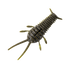 GreatLakes Ned Bug