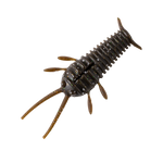 GreatLakes Ned Bug