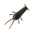 GreatLakes Ned Bug