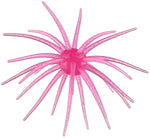 Hags Prickly Pear 19mm