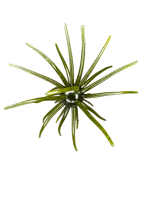 Hags Prickly Pear 9.9mm (2 Pack)