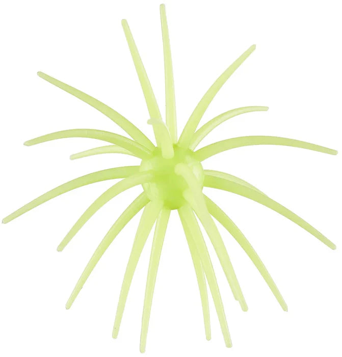 Hags Prickly Pear 9.9mm (2 Pack)