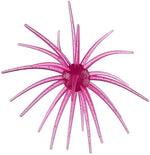 Hags Prickly Pear 9.9mm (2 Pack)