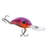 Strike King Pro-Model 5 XD