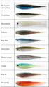 5" FF MINNOW