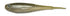 5" FF MINNOW