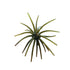 24mm TPE Urchin (1 Pack) - Made to Not Deform! (No Packaging)