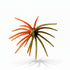 (NEW) BFT Split Decision Super Urchin 2 Tone Colorway (3pk)- 19mm Core 110mm/4.5” Diameter - TPE Material