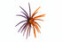(NEW) BFT Split Decision Super Urchin 2 Tone Colorway (3pk)- 19mm Core 110mm/4.5” Diameter - TPE Material