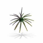 (NEW) BFT Split Decision Super Urchin 2 Tone Colorway (3pk)- 19mm Core 110mm/4.5” Diameter - TPE Material