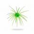 BFT Super Urchin 19mm TPE Material (3 Pack) - Made to Not Deform!