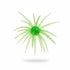 BFT Outdoor New Magnum Urchin 25mm