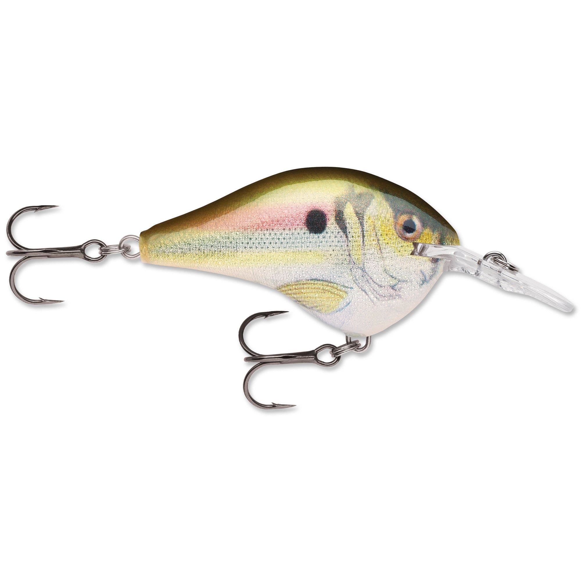 Rapala Dives-To 6ft 3/8oz 2"