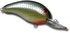 Bandit 200 Series