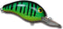 Bandit 200 Series
