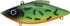 Bill Lewis Rat-L-Trap