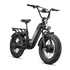 Revolt AWD Step Thru Bike