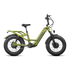 Revolt AWD Step Thru Bike