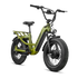 Revolt AWD Step Thru Bike