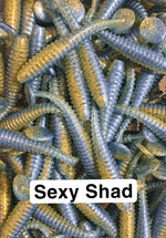 3.75" Paddletail Swimbait