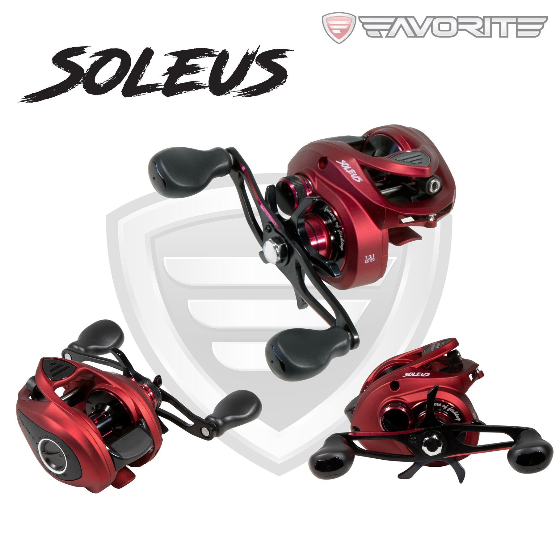 Favorite Fishing - Soleus Casting Reel