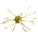Strike King Tumbleweed 3"