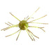 Strike King Tumbleweed 3"