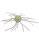 Strike King Tumbleweed 3"