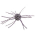 Strike King Tumbleweed 3"