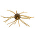 Strike King Tumbleweed 3"