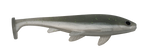 Weedless Executioner