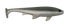 Weedless Executioner