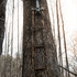 Triple Step Sewn Climbing Stick Aider