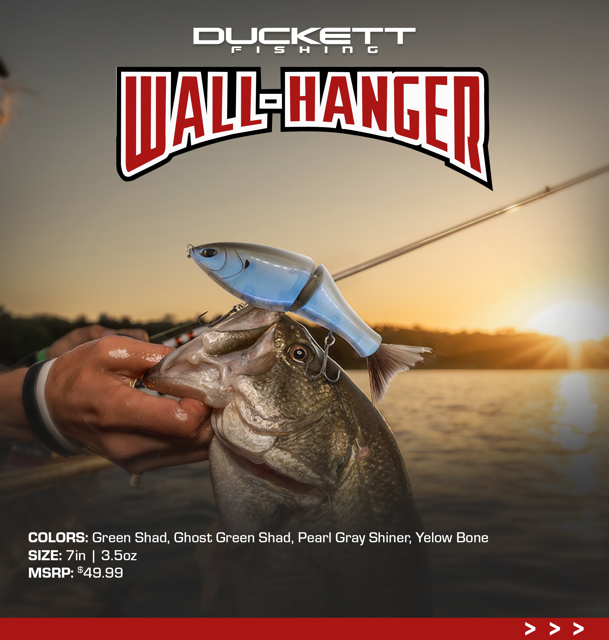 Wall-Hanger Glidebait