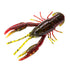 Yum Crawbug