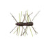 Z Man Fuzzy BugZ