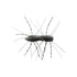 Z Man Fuzzy BugZ