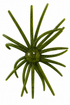 Micro Urchin 6.35mm (6-Pack)
